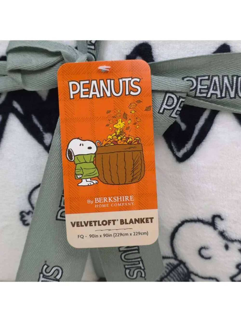 Peanuts VelvetLoft Plush Blanket Queen 90x90